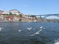 Porto (73) &ndash; &copy; Francisco Javier Burgos Gutierrez (Eberhardt TRAVEL)