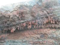 Timanfaya (8) &ndash; &copy; Francisco Javier Burgos Gutierrez (Eberhardt TRAVEL)