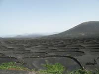 La Geria (1) &ndash; &copy; Francisco Javier Burgos Gutierrez (Eberhardt TRAVEL)