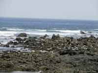 El Golfo (8) &ndash; &copy; Francisco Javier Burgos Gutierrez (Eberhardt TRAVEL)