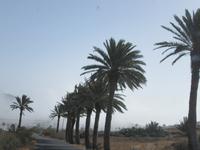 Haria (1) &ndash; &copy; Francisco Javier Burgos Gutierrez (Eberhardt TRAVEL)