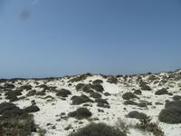 Caleton Blanco (3) &ndash; &copy; Francisco Javier Burgos Gutierrez (Eberhardt TRAVEL)
