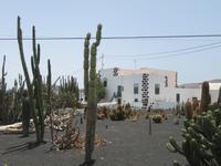 Kakteen-Garten (18) &ndash; &copy; Francisco Javier Burgos Gutierrez (Eberhardt TRAVEL)