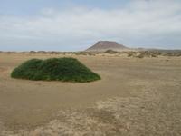 La Graciosa (26) &ndash; &copy; Francisco Javier Burgos Gutierrez (Eberhardt TRAVEL)