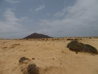 La Graciosa (49) &ndash; &copy; Francisco Javier Burgos Gutierrez (Eberhardt TRAVEL)