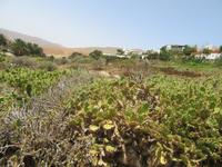 Betancuria (7) &ndash; &copy; Francisco Javier Burgos Gutierrez (Eberhardt TRAVEL)