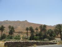 Vega del Rio Palma (7) &ndash; &copy; Francisco Javier Burgos Gutierrez (Eberhardt TRAVEL)