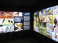 Casa de la Naturaleza (5) &ndash; &copy; Francisco Javier Burgos Gutierrez (Eberhardt TRAVEL)