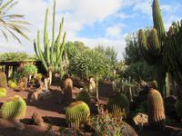 Oasis Park (1) &ndash; &copy; Francisco Javier Burgos Gutierrez (Eberhardt TRAVEL)