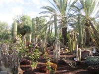 Oasis Park (2) &ndash; &copy; Francisco Javier Burgos Gutierrez (Eberhardt TRAVEL)