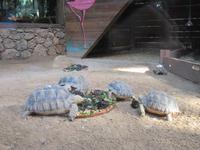 Oasis Park (7) &ndash; &copy; Francisco Javier Burgos Gutierrez (Eberhardt TRAVEL)