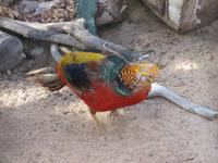 Oasis Park (8) &ndash; &copy; Francisco Javier Burgos Gutierrez (Eberhardt TRAVEL)