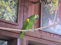 Oasis Park (14) &ndash; &copy; Francisco Javier Burgos Gutierrez (Eberhardt TRAVEL)