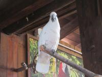 Oasis Park (15) &ndash; &copy; Francisco Javier Burgos Gutierrez (Eberhardt TRAVEL)