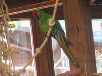 Oasis Park (18) &ndash; &copy; Francisco Javier Burgos Gutierrez (Eberhardt TRAVEL)