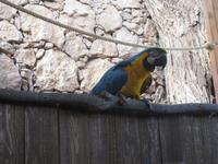 Oasis Park (20) &ndash; &copy; Francisco Javier Burgos Gutierrez (Eberhardt TRAVEL)