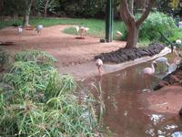 Oasis Park (30) &ndash; &copy; Francisco Javier Burgos Gutierrez (Eberhardt TRAVEL)