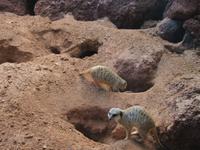 Oasis Park (33) &ndash; &copy; Francisco Javier Burgos Gutierrez (Eberhardt TRAVEL)