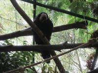 Oasis Park (37) &ndash; &copy; Francisco Javier Burgos Gutierrez (Eberhardt TRAVEL)