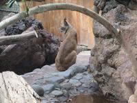 Oasis Park (40) &ndash; &copy; Francisco Javier Burgos Gutierrez (Eberhardt TRAVEL)