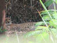 Oasis Park (50) &ndash; &copy; Francisco Javier Burgos Gutierrez (Eberhardt TRAVEL)