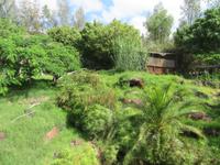 Oasis Park (51) &ndash; &copy; Francisco Javier Burgos Gutierrez (Eberhardt TRAVEL)