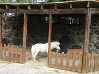 Oasis Park (59) &ndash; &copy; Francisco Javier Burgos Gutierrez (Eberhardt TRAVEL)