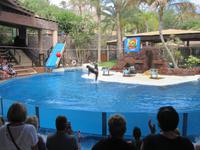 Oasis Park (80) &ndash; &copy; Francisco Javier Burgos Gutierrez (Eberhardt TRAVEL)