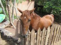 Oasis Park (83) &ndash; &copy; Francisco Javier Burgos Gutierrez (Eberhardt TRAVEL)