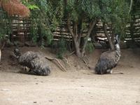 Oasis Park (84) &ndash; &copy; Francisco Javier Burgos Gutierrez (Eberhardt TRAVEL)