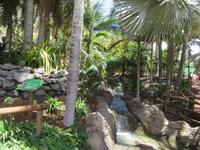 Oasis Park (118) &ndash; &copy; Francisco Javier Burgos Gutierrez (Eberhardt TRAVEL)
