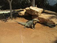 Oasis Park (122) &ndash; &copy; Francisco Javier Burgos Gutierrez (Eberhardt TRAVEL)