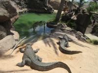 Oasis Park (123) &ndash; &copy; Francisco Javier Burgos Gutierrez (Eberhardt TRAVEL)