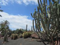 Oasis Park (128) &ndash; &copy; Francisco Javier Burgos Gutierrez (Eberhardt TRAVEL)