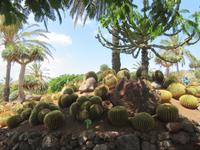 Oasis Park (133) &ndash; &copy; Francisco Javier Burgos Gutierrez (Eberhardt TRAVEL)