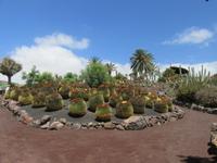 Oasis Park (134) &ndash; &copy; Francisco Javier Burgos Gutierrez (Eberhardt TRAVEL)
