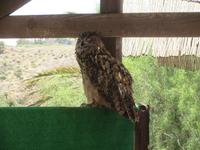 Oasis Park (142) &ndash; &copy; Francisco Javier Burgos Gutierrez (Eberhardt TRAVEL)