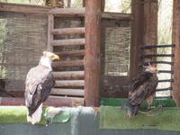 Oasis Park (144) &ndash; &copy; Francisco Javier Burgos Gutierrez (Eberhardt TRAVEL)