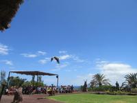 Oasis Park (147) &ndash; &copy; Francisco Javier Burgos Gutierrez (Eberhardt TRAVEL)