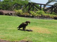 Oasis Park (162) &ndash; &copy; Francisco Javier Burgos Gutierrez (Eberhardt TRAVEL)