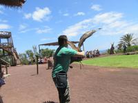 Oasis Park (167) &ndash; &copy; Francisco Javier Burgos Gutierrez (Eberhardt TRAVEL)