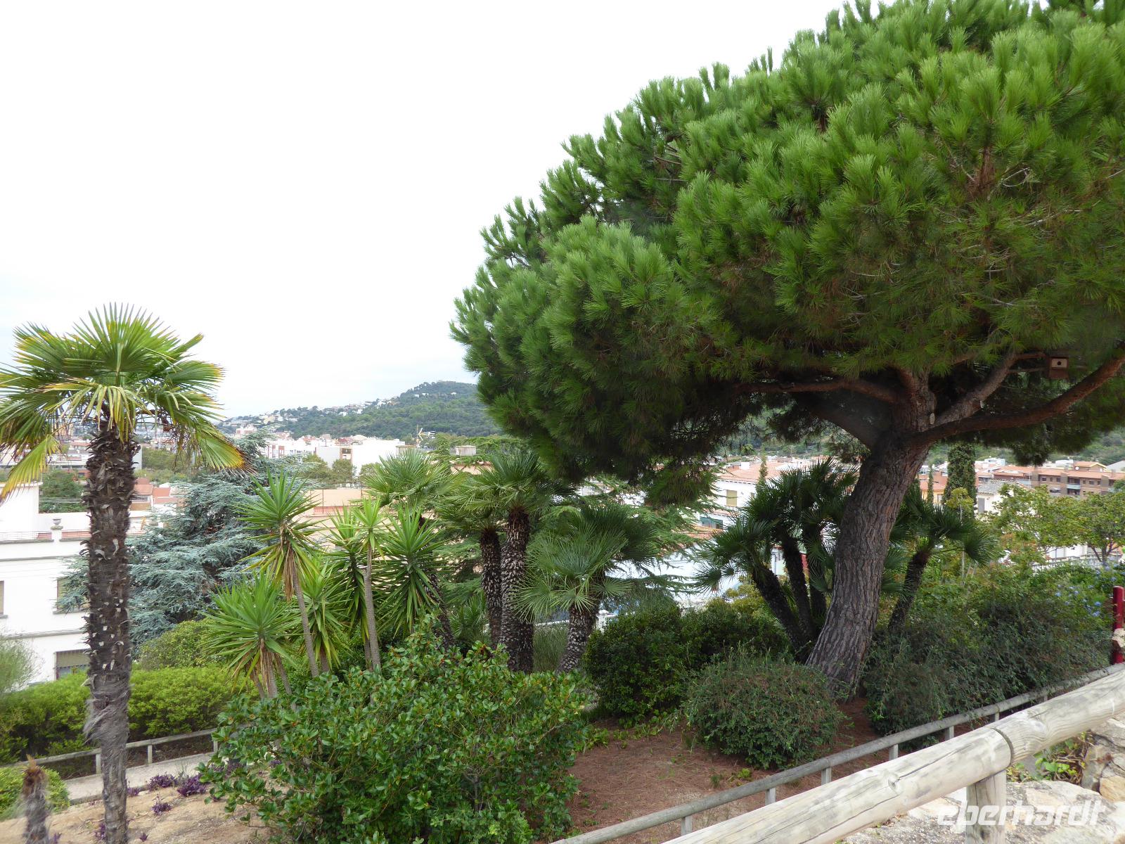09.09.2017 Costa Brava &ndash; &copy; Jutta Petzold-Herrmann (Eberhardt TRAVEL)