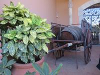 Bodega Torres &ndash; &copy; Jenny Wittenberger (Eberhardt TRAVEL)