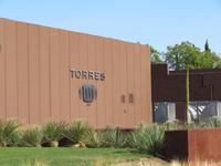 Bodega Torres &ndash; &copy; Jenny Wittenberger (Eberhardt TRAVEL)