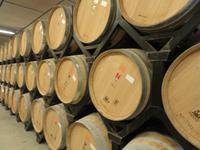 Bodega Torres &ndash; &copy; Jenny Wittenberger (Eberhardt TRAVEL)