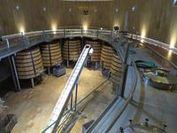 Bodega Torres &ndash; &copy; Jenny Wittenberger (Eberhardt TRAVEL)