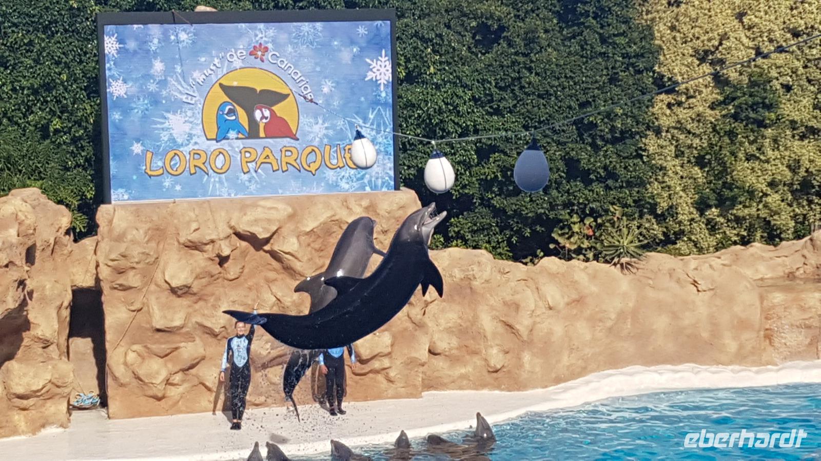 Loro-Park &ndash; &copy; Kristina Hesse (Eberhardt TRAVEL)