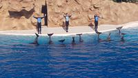 Loro-Park &ndash; &copy; Kristina Hesse (Eberhardt TRAVEL)