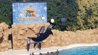 Loro-Park &ndash; &copy; Kristina Hesse (Eberhardt TRAVEL)