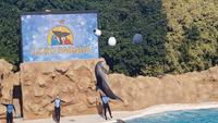 Loro-Park &ndash; &copy; Kristina Hesse (Eberhardt TRAVEL)